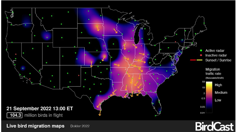 Better Birding Series: We will be exploring Audubon’s Bird Migration ...