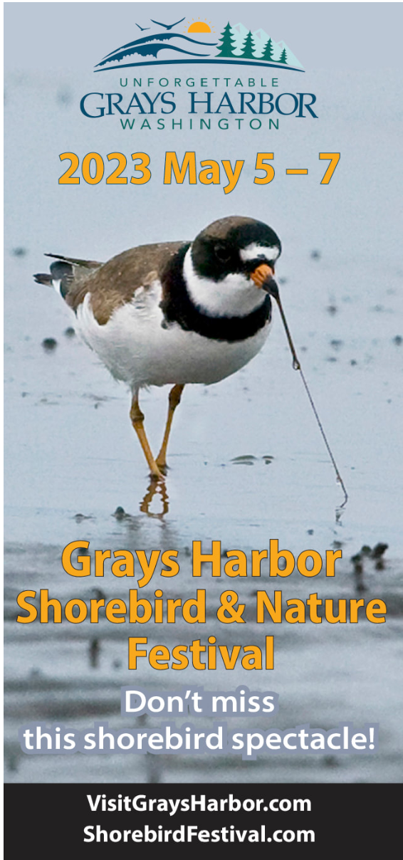 Grays Harbor Shorebird and Nature Festival RAINIER AUDUBON SOCIETY