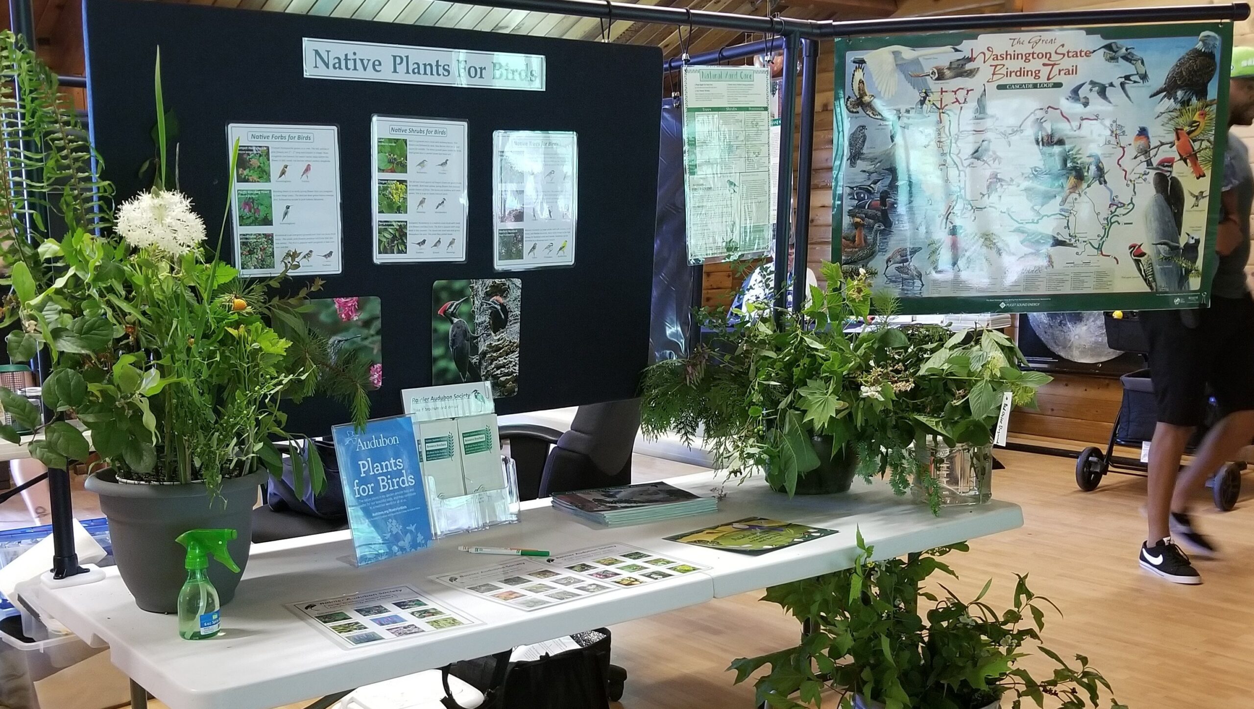 Rainier Audubon Nature Festival on June 7, 2025